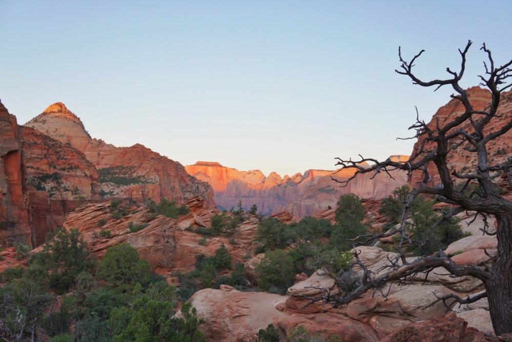 Processed with Snapseed.